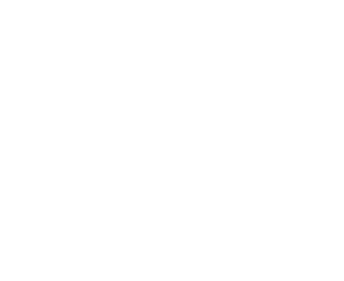 DAILY SCENE 続いていく、暮らしの風景